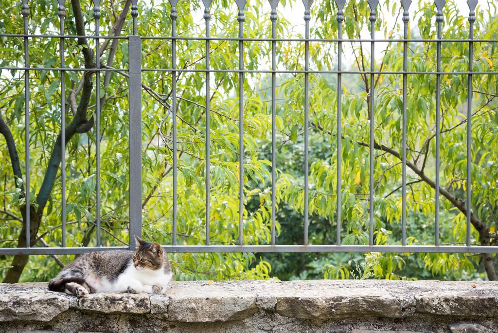 Masseria Acquasalsa Agnone Exterior photo